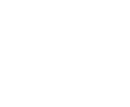 NetEnt games at Golden Lion Casino